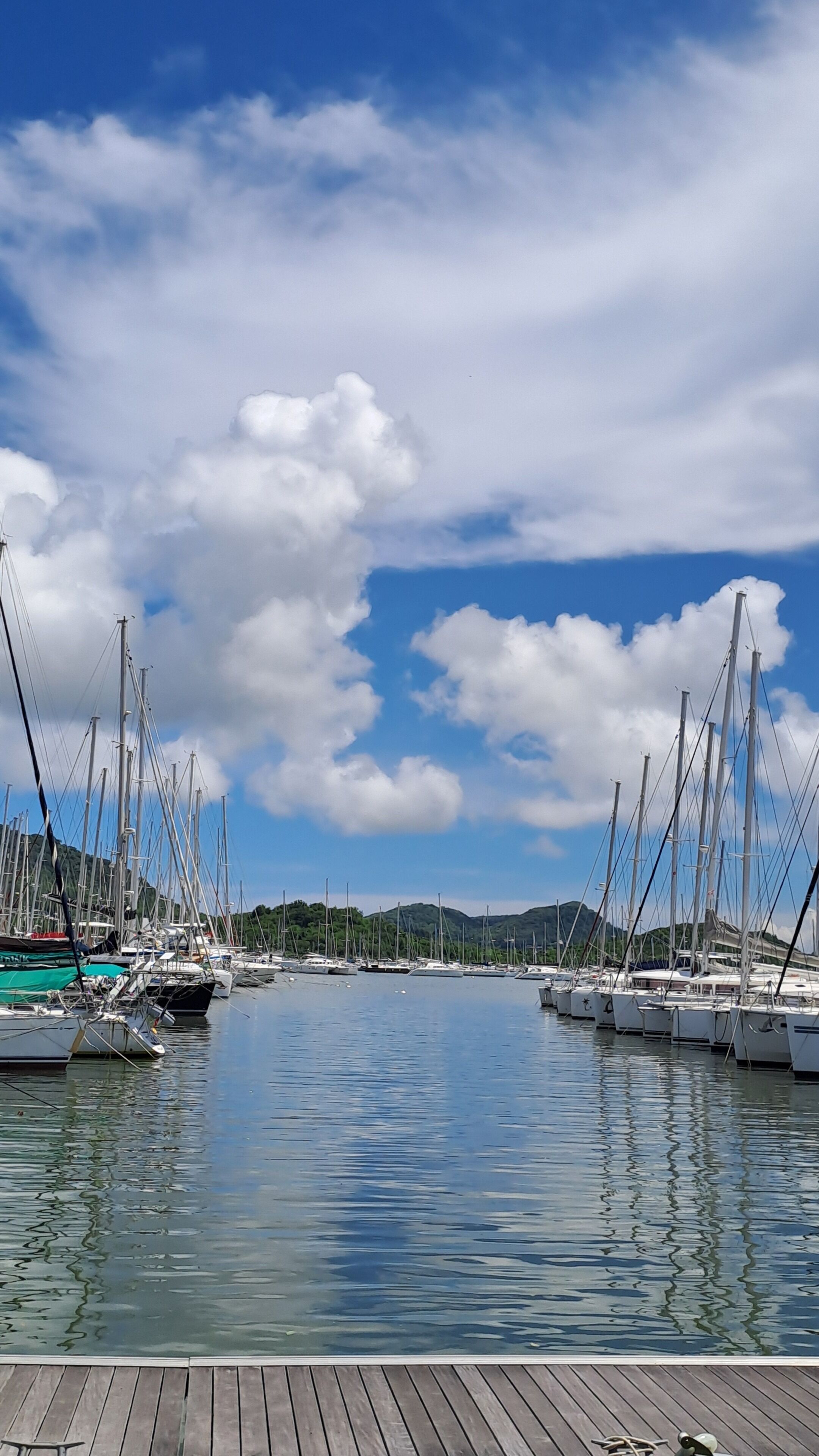 A marina with multiple sailboats docked, calm water, and a wooden dock.