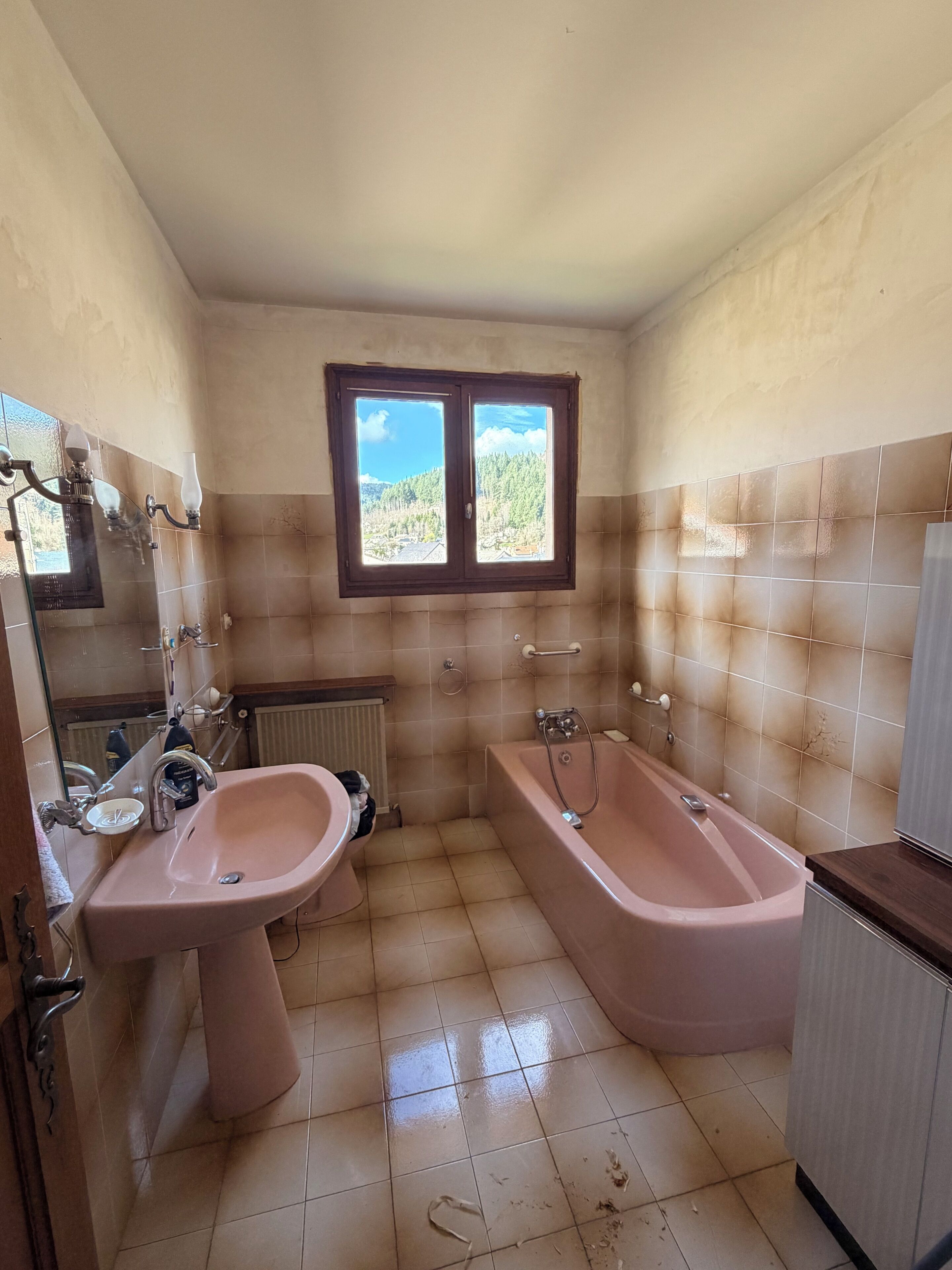Hair dryer, bidet, towels, soap