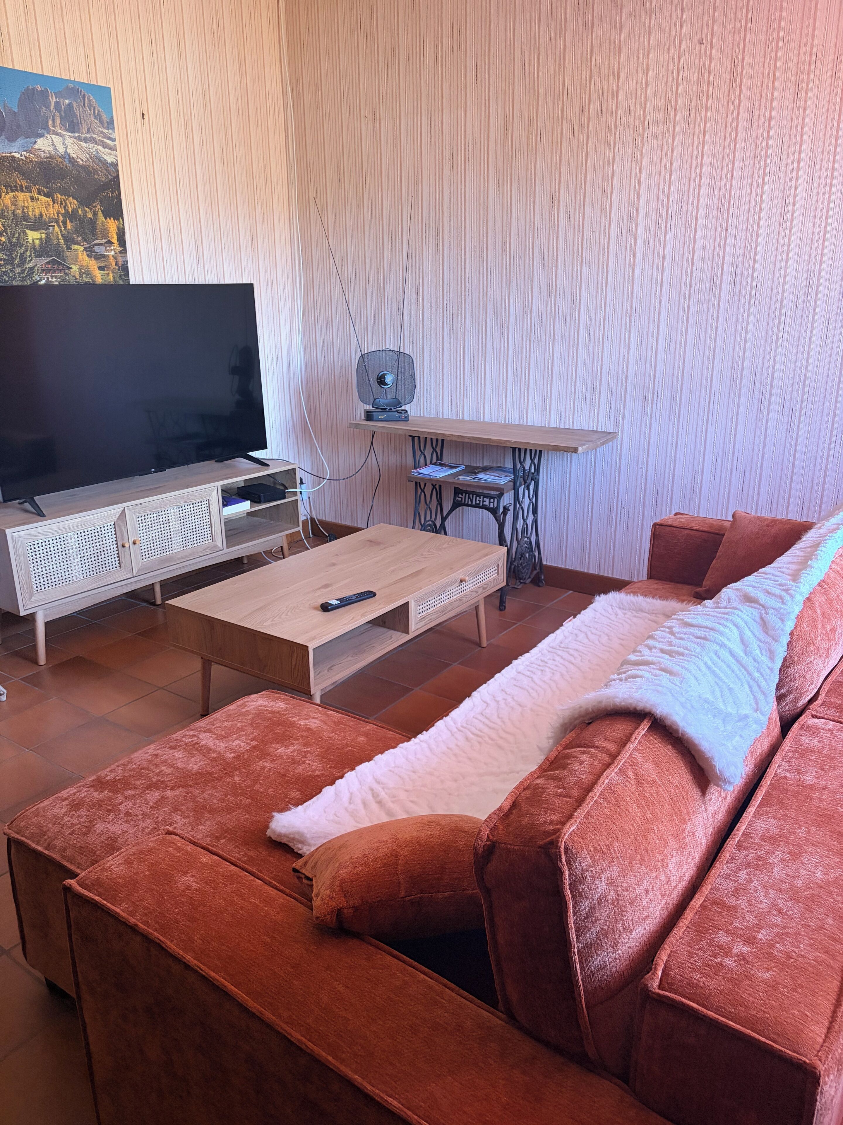 Fernseher
