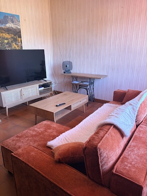 Televisor 