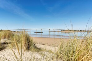 Ein Strand mit einem hölzernen Steg, der sich in ruhiges Wasser erstreckt, umgeben von Sand und hohem Gras.