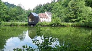 Een woonboot op een kalme rivier, omringd door weelderige begroeiing.