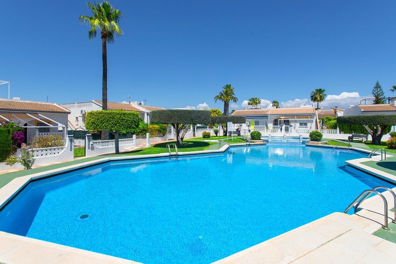 A swimming pool with a clear blue water surface, surrounded by well-maintained lawns and palm trees.
