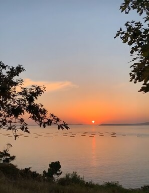 Ruhige Wasserfläche mit Sonnenuntergang im Hintergrund.