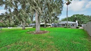 A well-maintained lawn with a large tree and a greenhouse structure.
