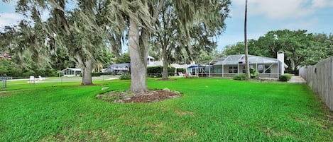 A well-maintained lawn with a large tree and a greenhouse structure.