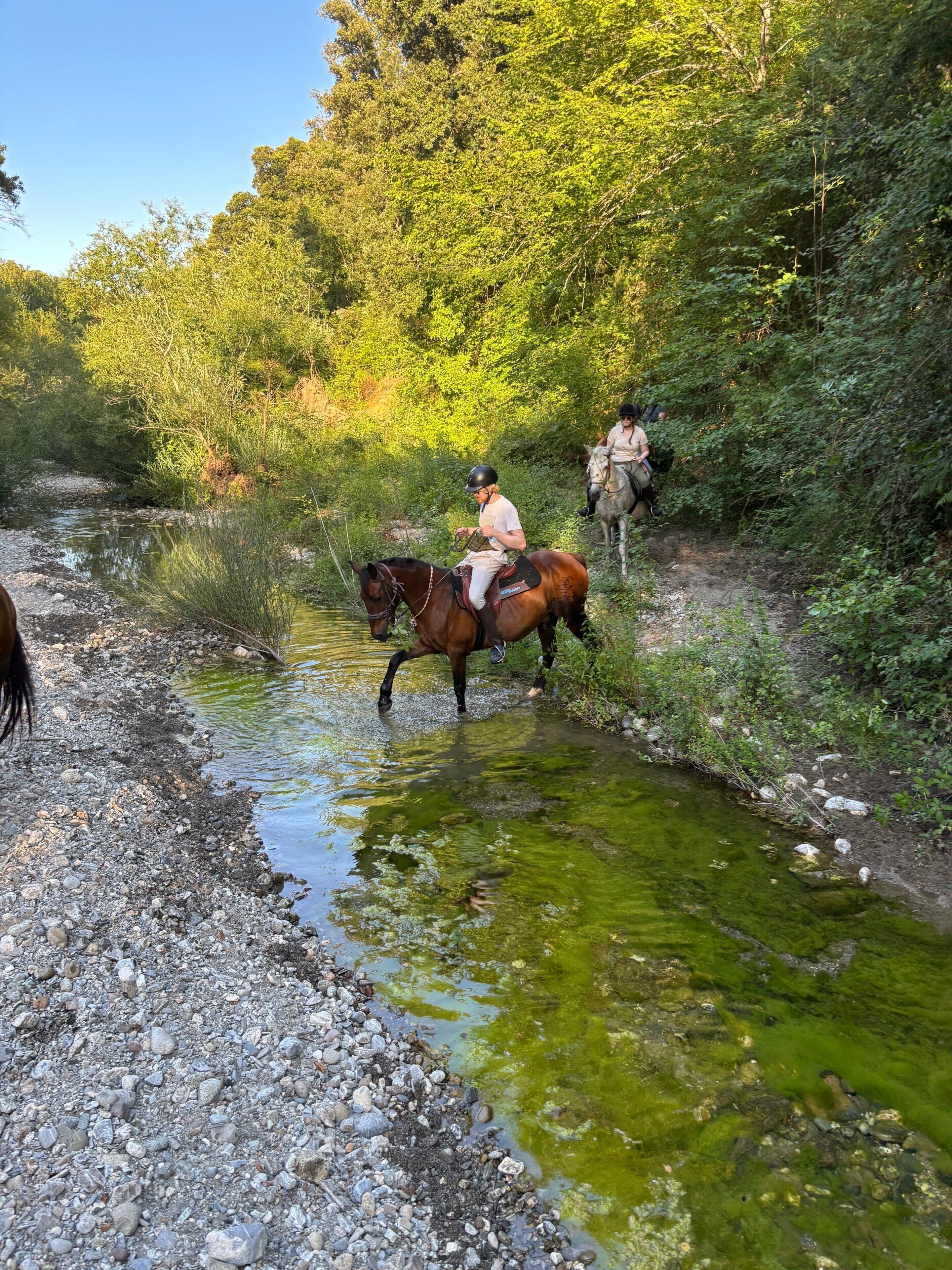 A riverbank with two horses and riders.
