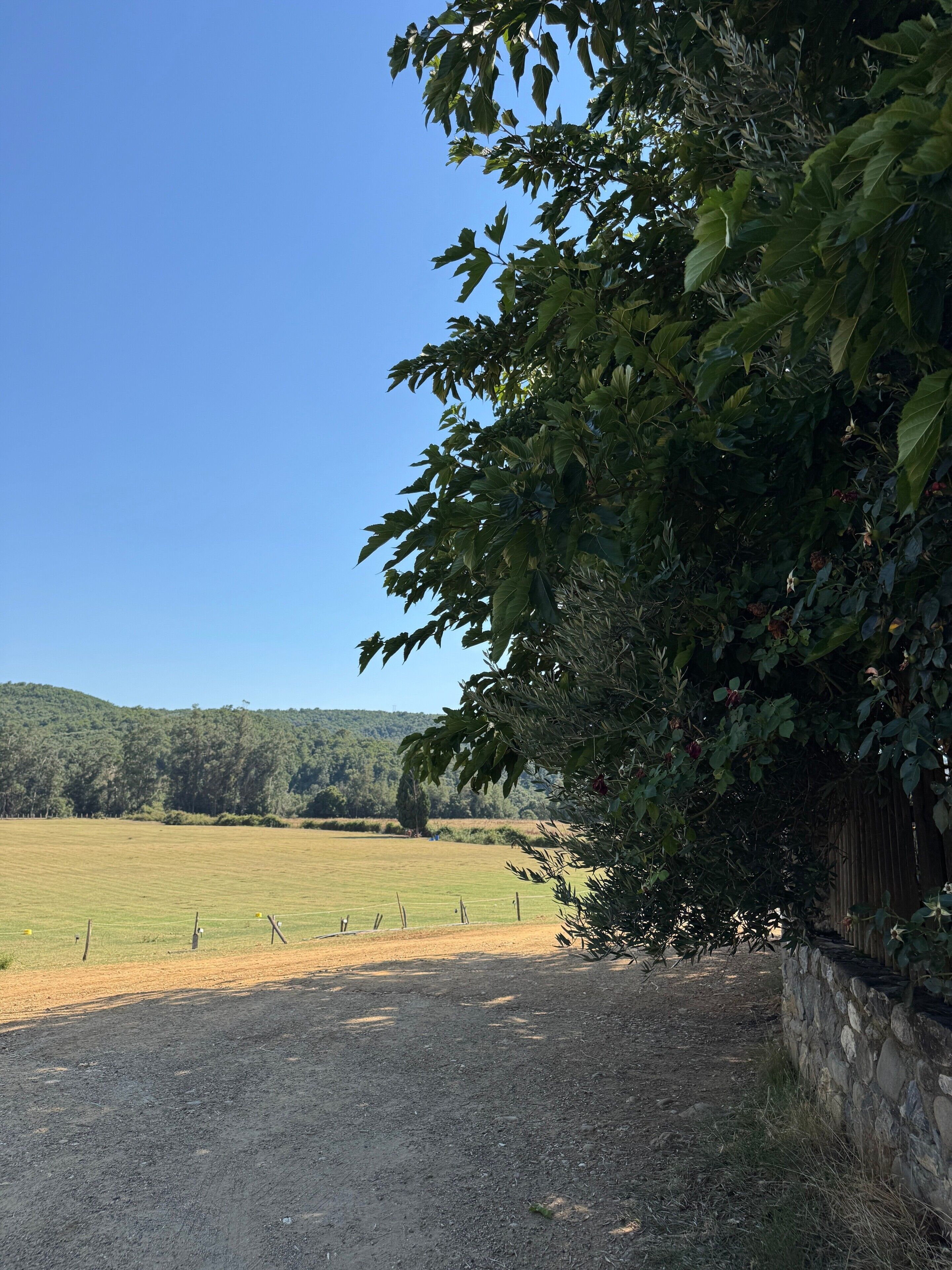 Un paysage rural avec un chemin de terre menant à un mur de pierres, un champ clôturé et une colline à l’horizon.