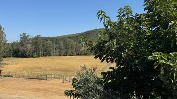 Paisatge rural amb un camp tancat, arbres i un turó al fons.