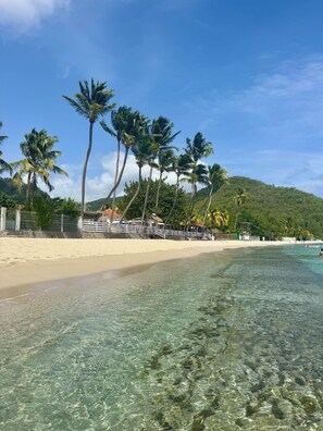 A beach with clear water, palm trees, and a sandy shore. - Dream Villa in Martinique, with a Pool and Direct Access to the Beach (Les Anses-d'Arlet)
