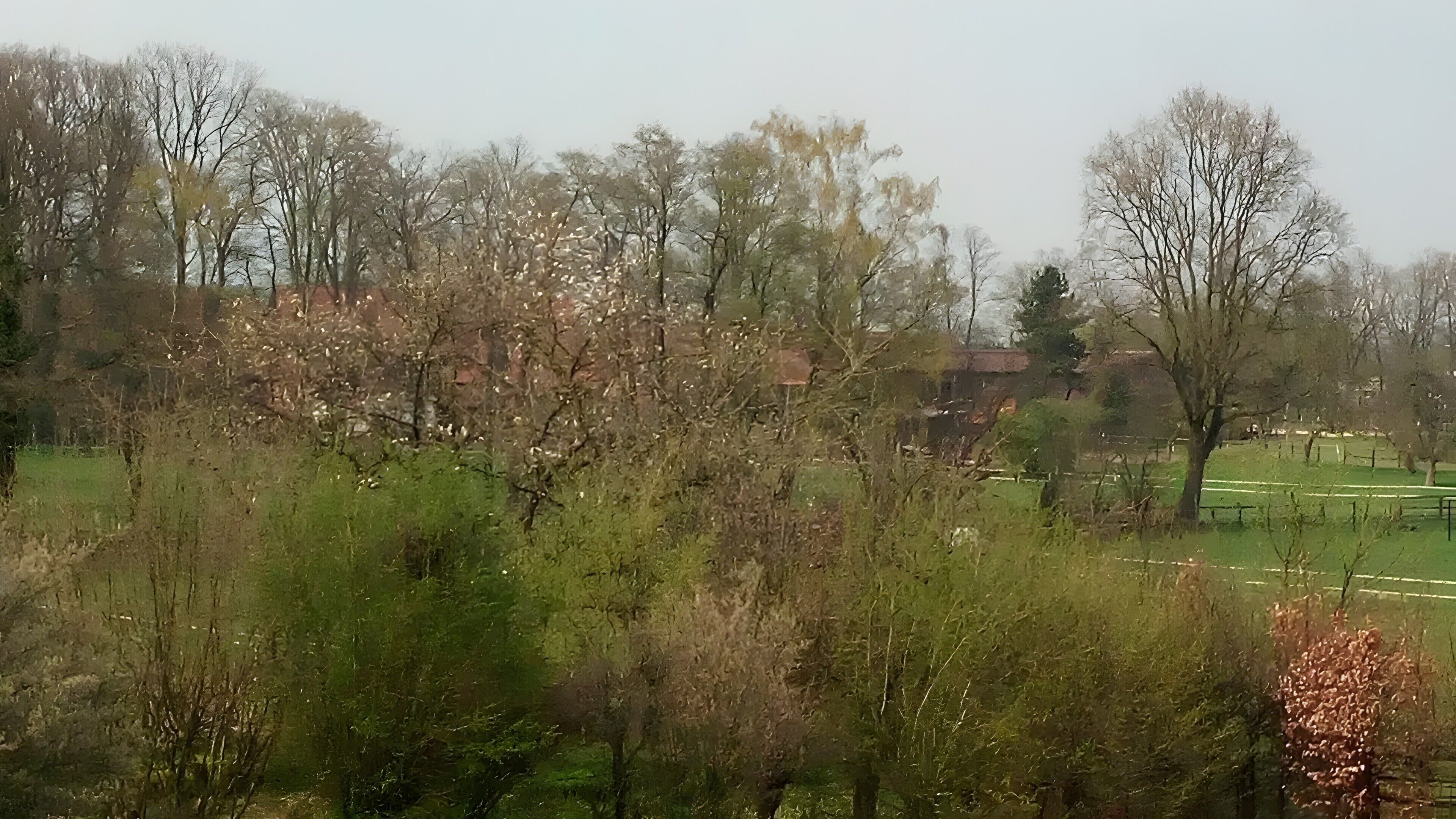 A park with trees and a field.