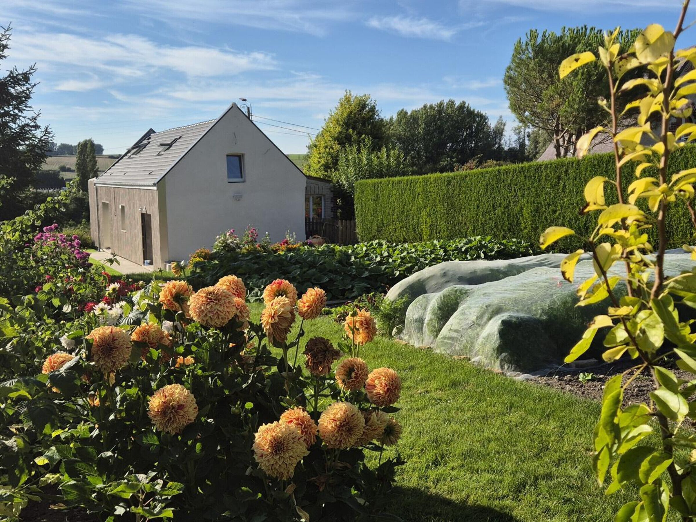 Terrein van de accommodatie