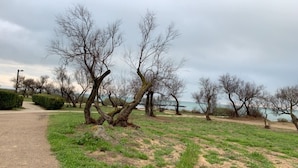 A park with a dirt path, leafless trees, and a body of water in the background.