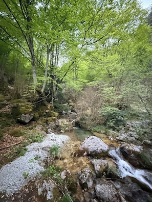 Miscelánea