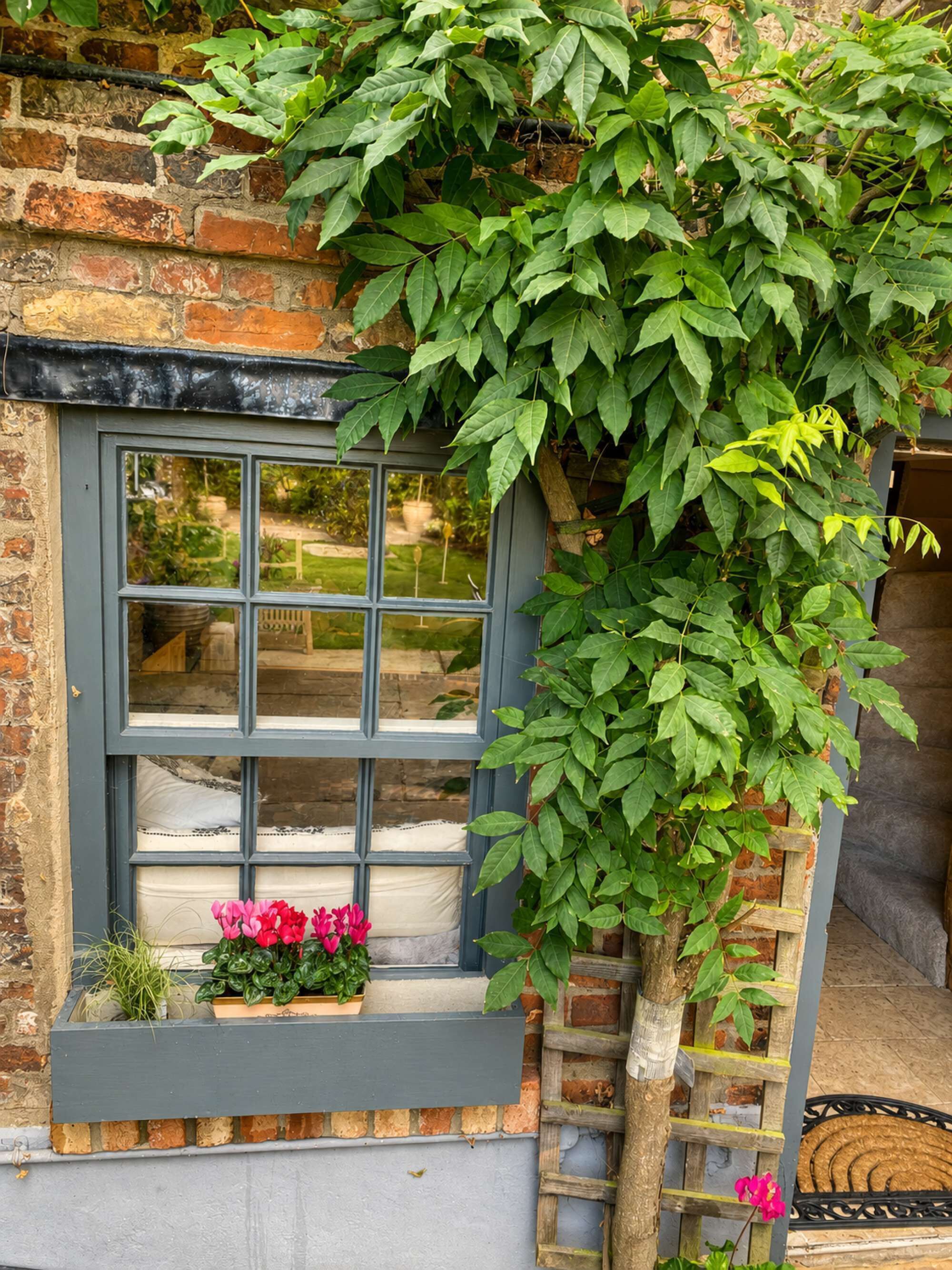 A window with a view of a garden, a brick wall, and a wooden ladder.