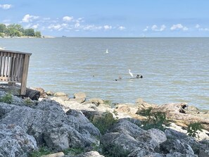 A rocky shoreline with a wooden structure, calm water, and a distant boat.