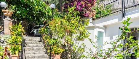 A set of stone steps leading to a white building with a balcony, surrounded by various plants and a cactus.