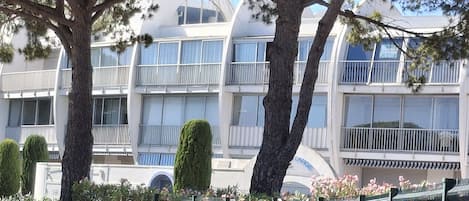 A pathway flanked by trees and a building with balconies.