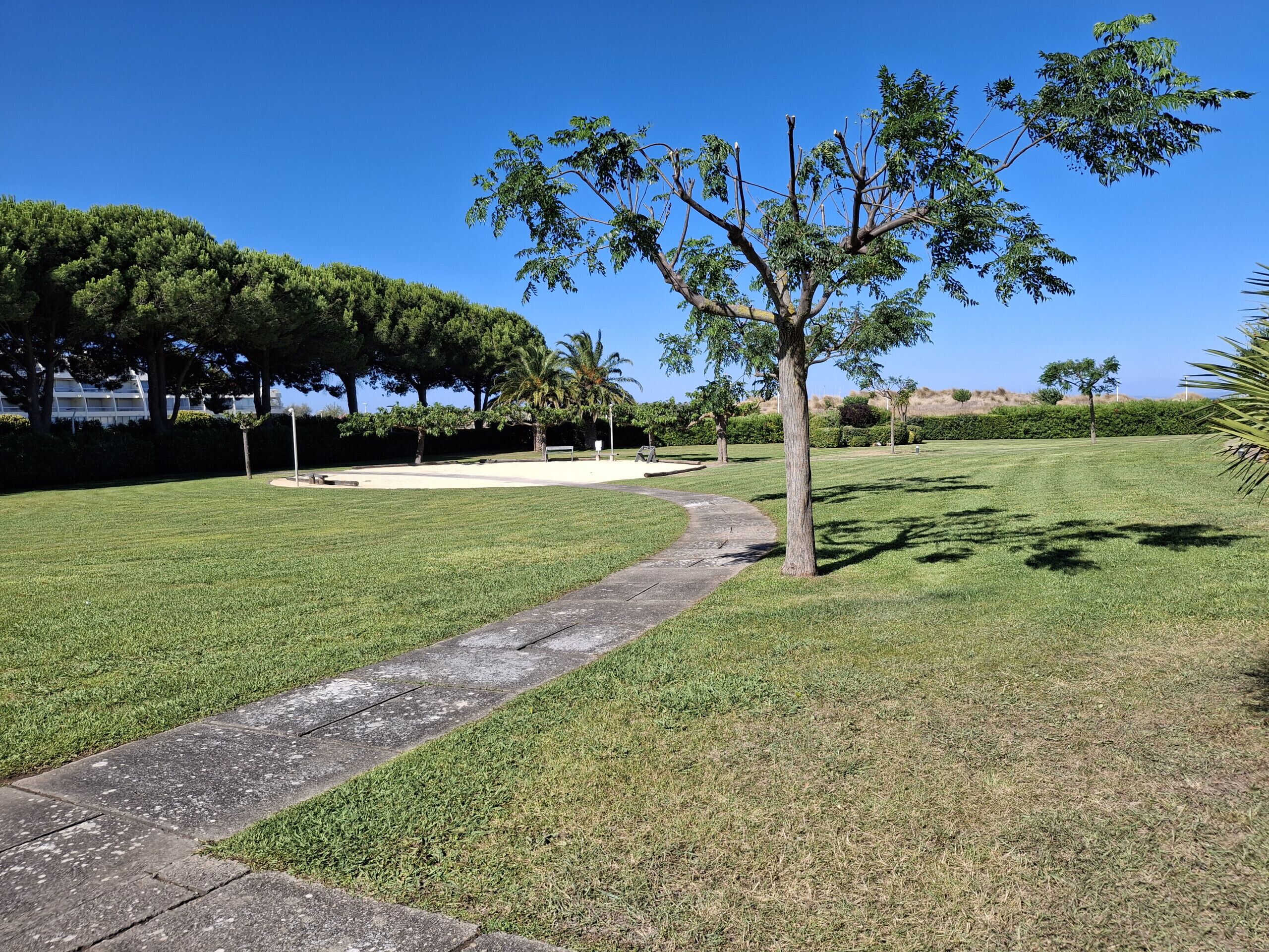 A park with a paved walkway, green grass, and trees.