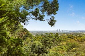 Eine natürliche Landschaft mit dichtem Grün und einer entfernten Stadtansicht.