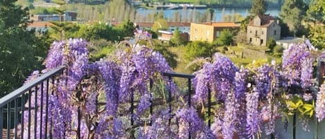 A balcony with purple wisteria vines, a view of a lake, and buildings in the background.