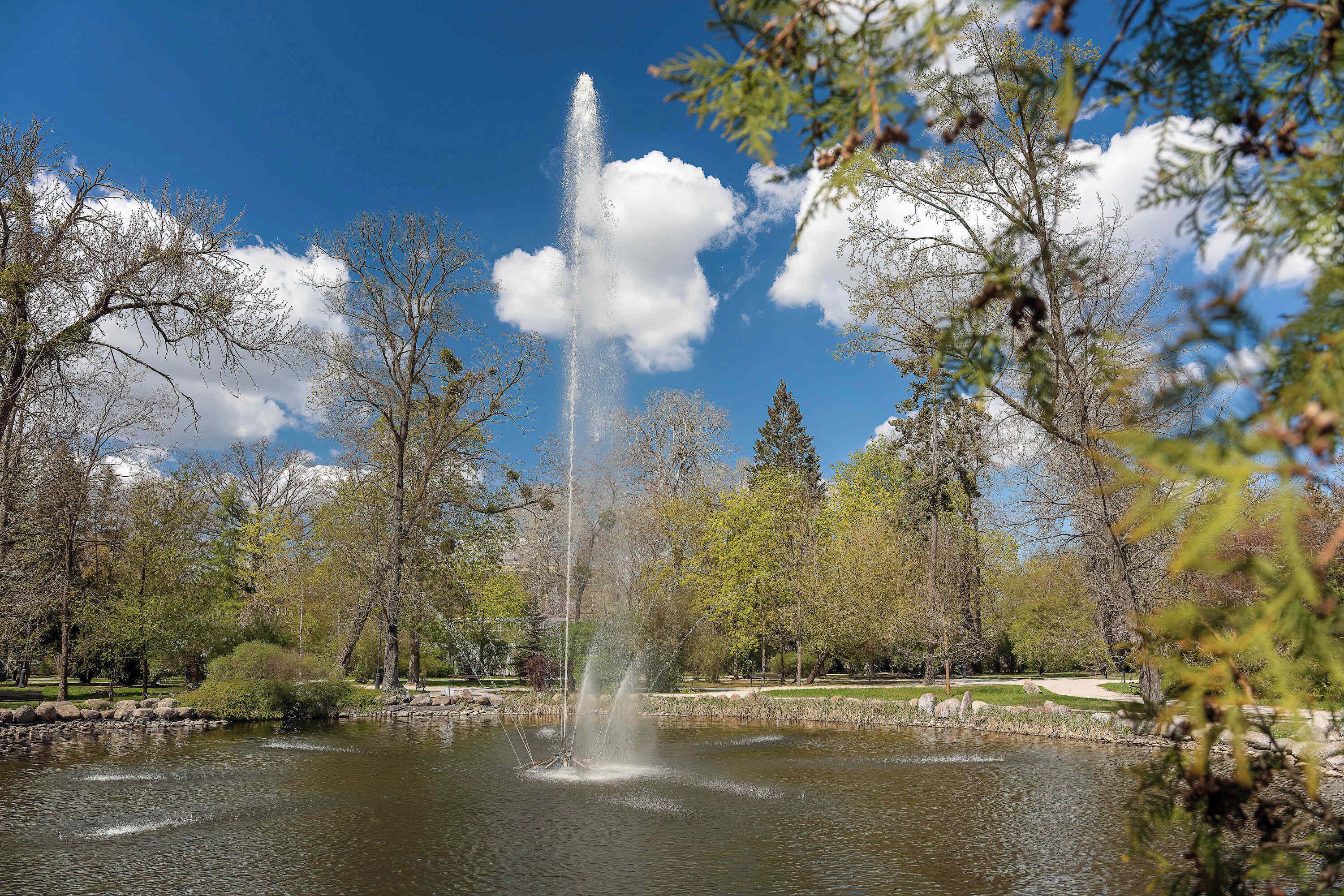Ein Springbrunnen in einem Park mit Bäumen und blauem Himmel.