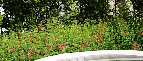 A hot tub surrounded by lush greenery and red flowers.