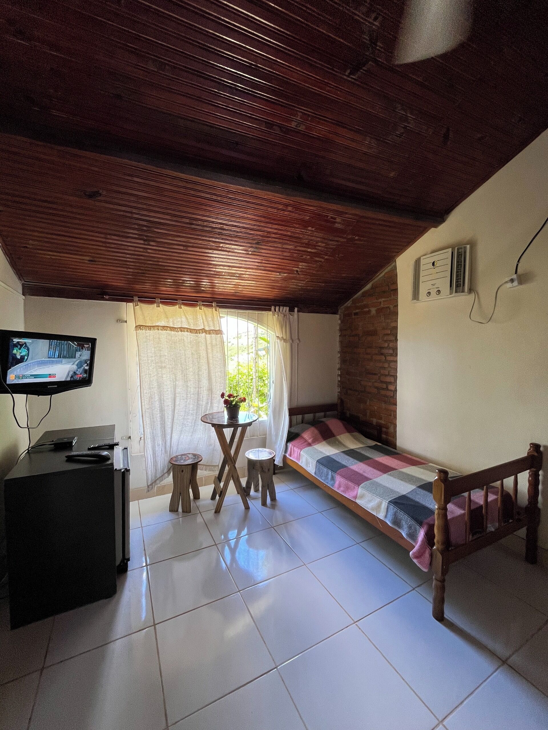 A room with a bed, a TV, a table with a plant, and a small stool.