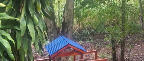Una casita de juegos de madera con techo azul y un tobogán, rodeada de árboles y follaje.