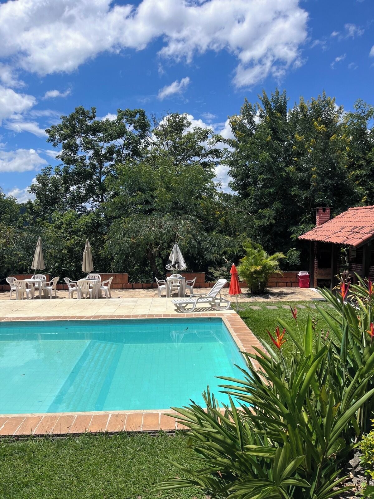 Piscina con sillas de descanso y sombrillas, rodeada de vegetación y árboles.