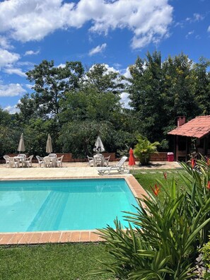 Piscina con sillas de descanso y sombrillas, rodeada de vegetación y árboles.
