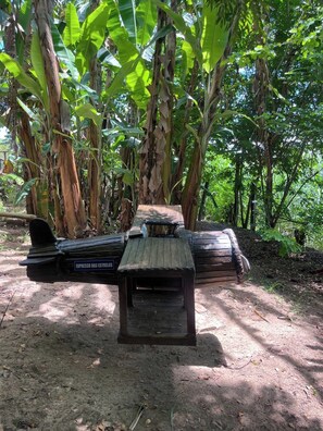 Un banco de madera rústico con un letrero, rodeado de árboles de plátano en un entorno natural.