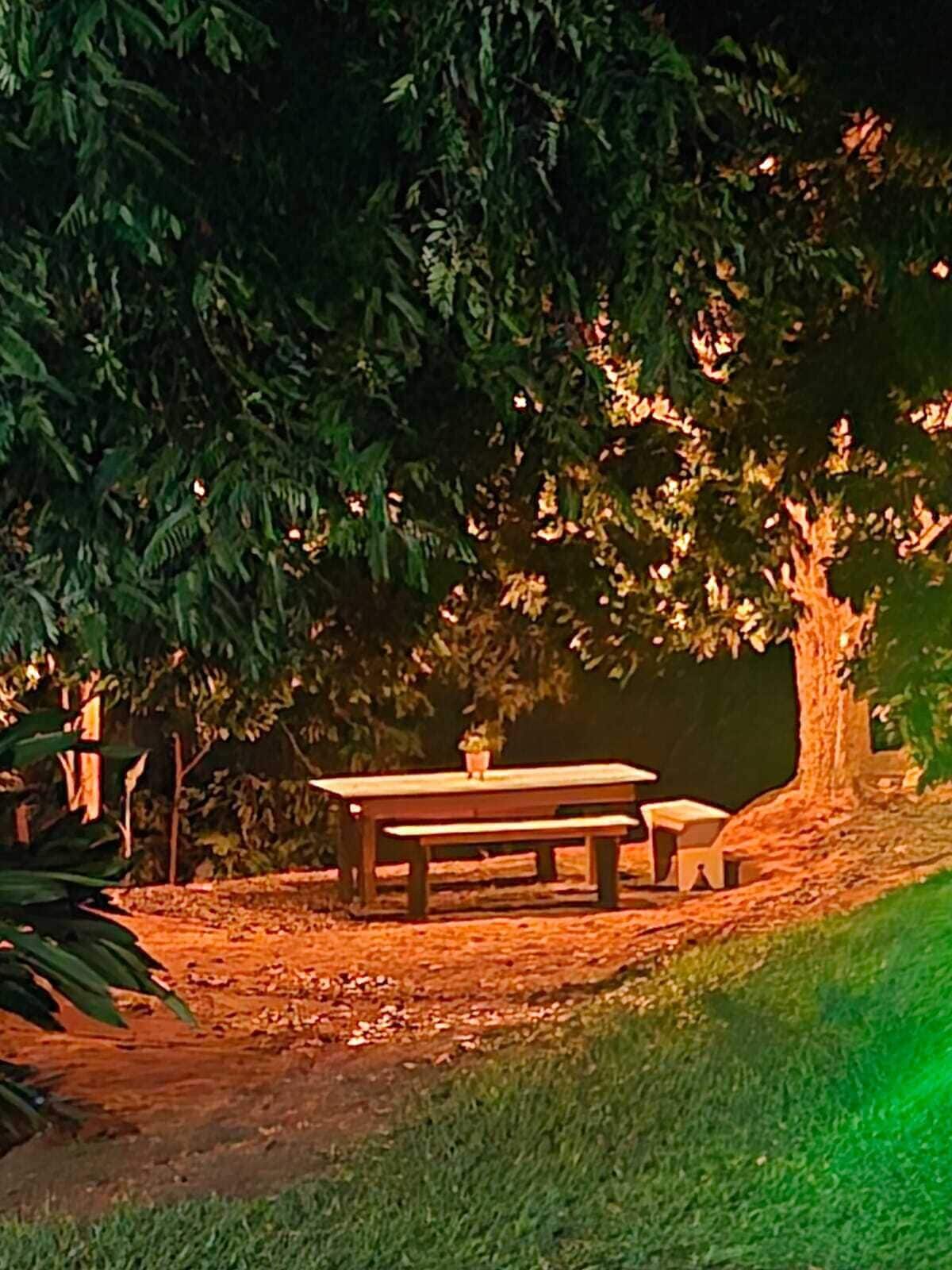 Taula de picnic i banc, en un entorn natural amb arbres i gespa.