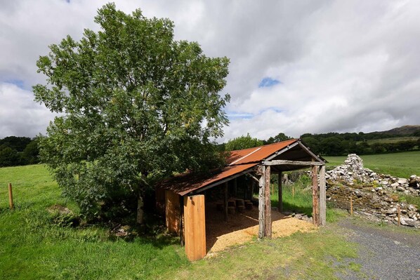 A rustic wooden structure with a metal roof, surrounded by a grassy field and a large tree. - Enchanting Character Cottage in the Heart of South Eryri | Boethuog (Dolgellau)
