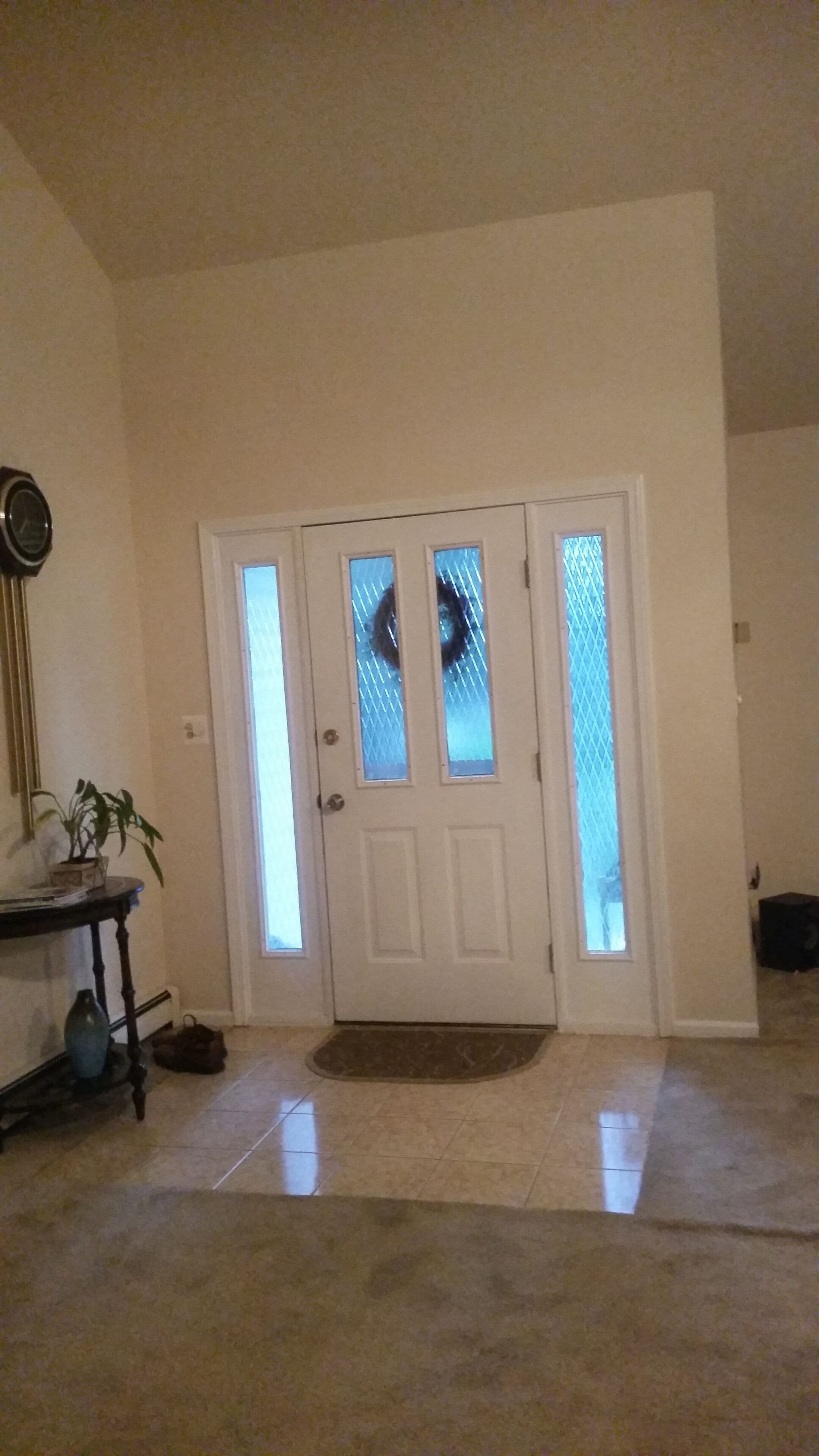 A room with a white door featuring frosted glass panels, a potted plant, and a small table with a vase.