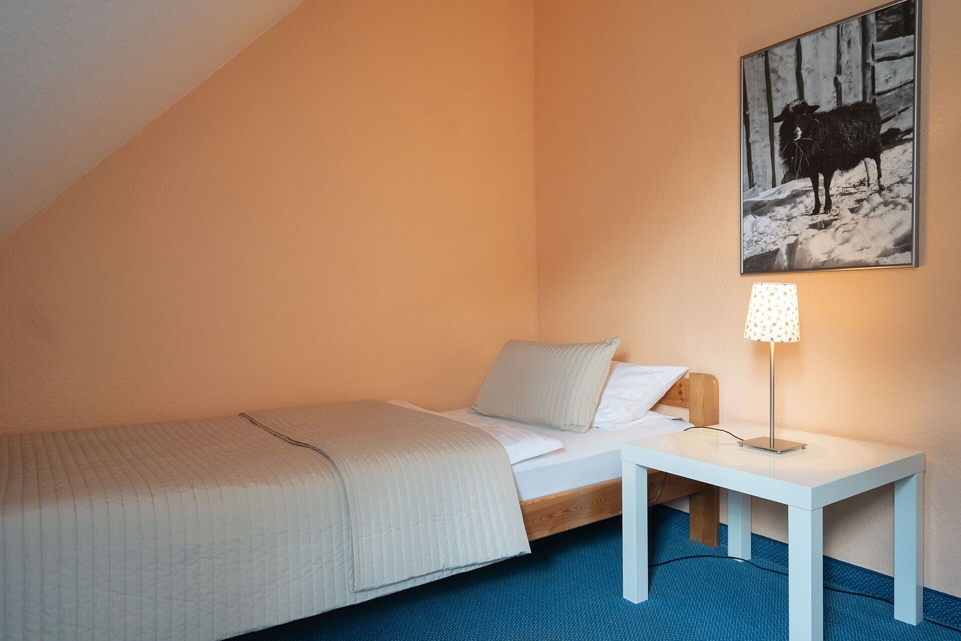 A single bed with a white headboard and a bedside table with a lamp.