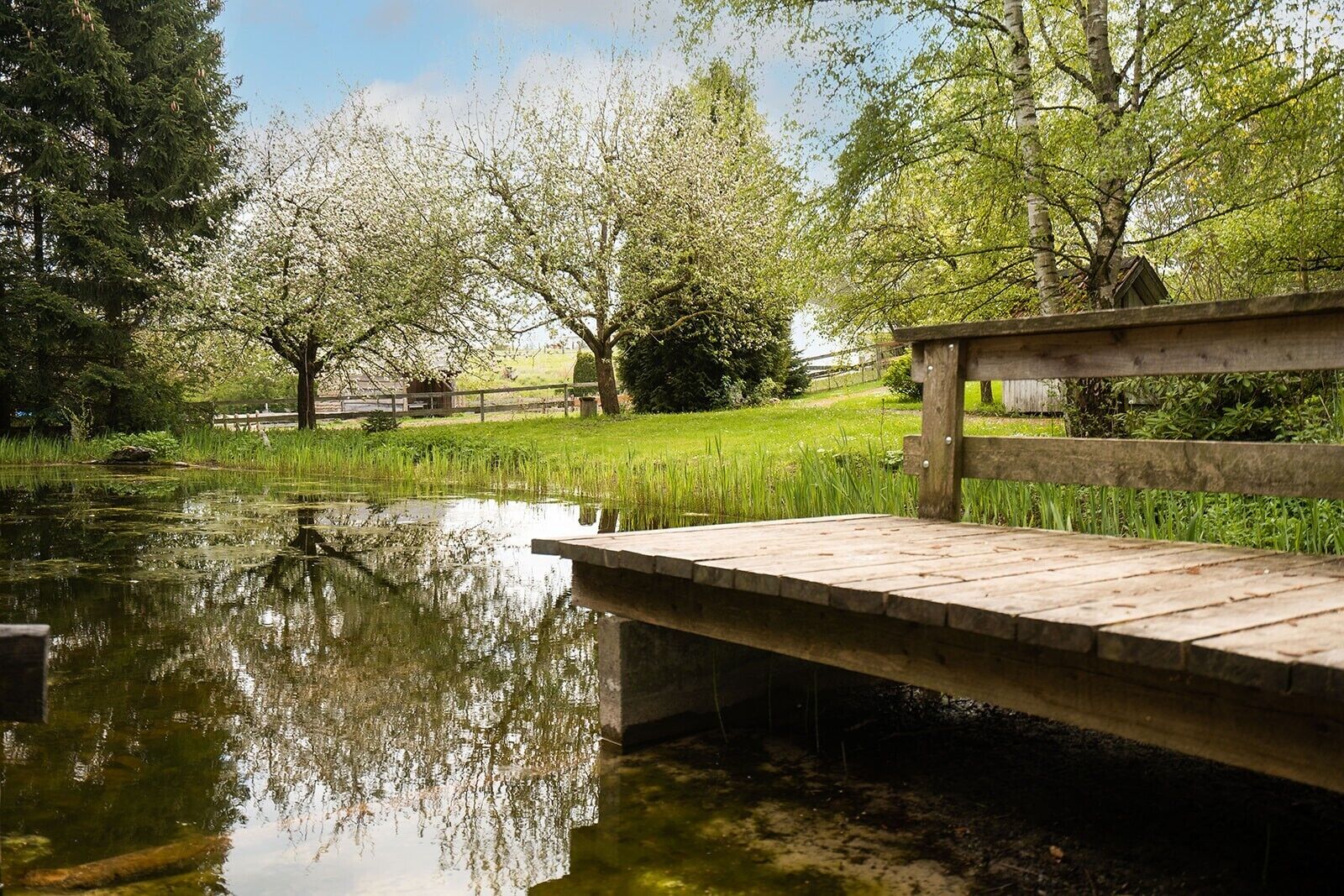 Eine hölzerne Bank an einem ruhigen Teich mit Bäumen und einer grünen Fläche im Hintergrund.