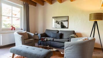 TV, fireplace, table tennis