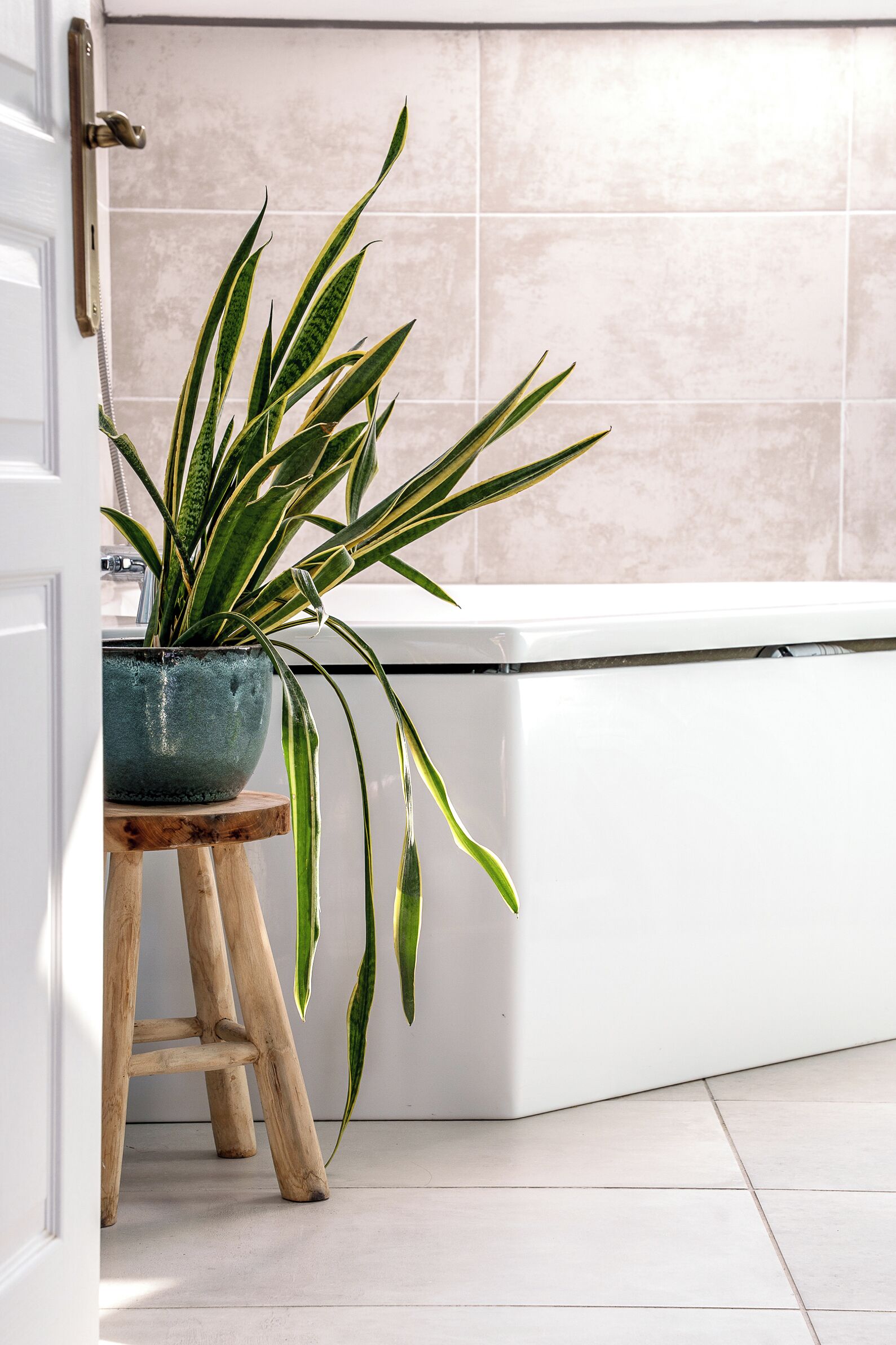 A potted plant on a wooden stool in a bathroom with a white bathtub and beige tiles.