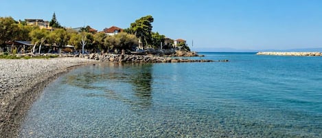 A pebble beach with clear water, houses, and trees.