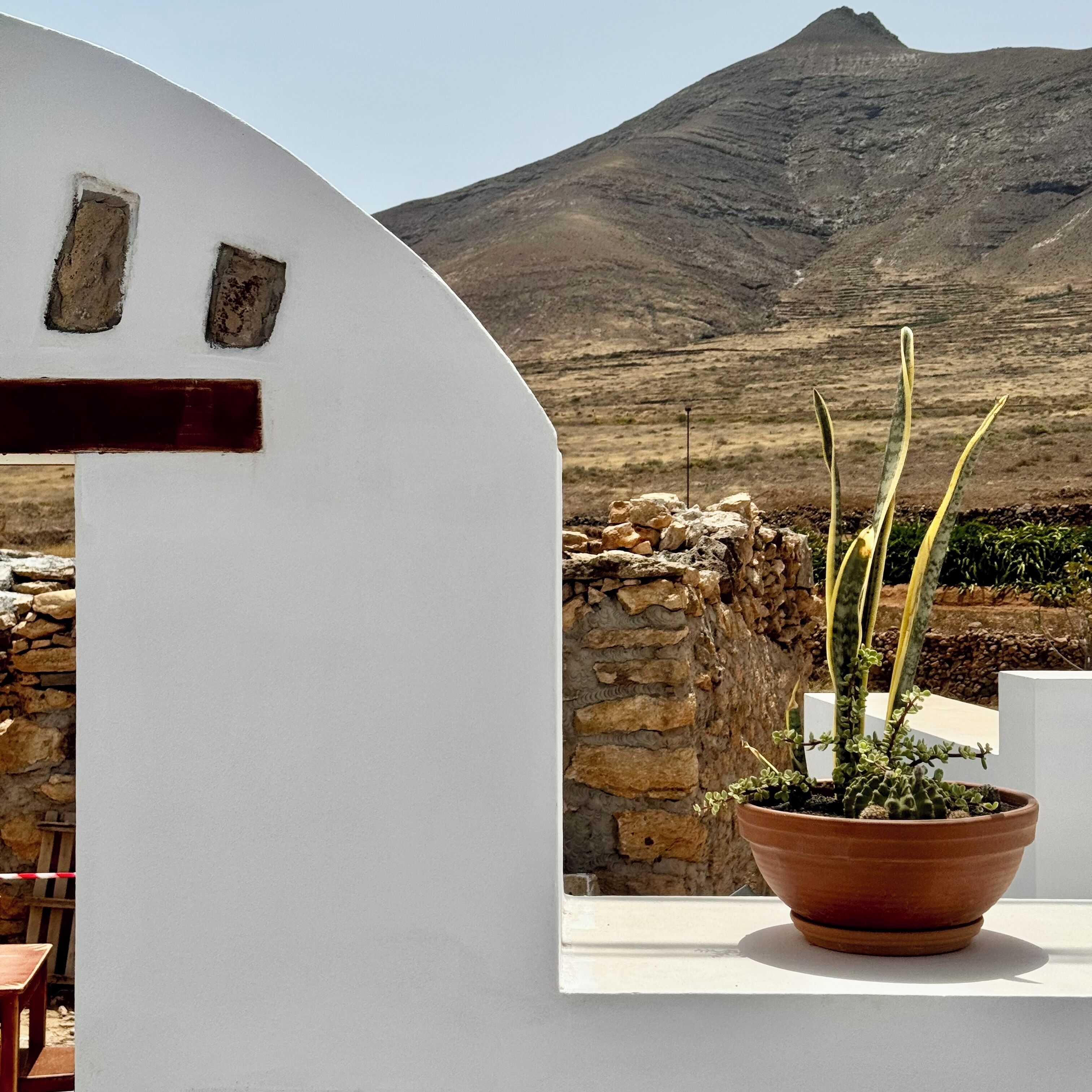A white building with a stone wall and a potted plant.