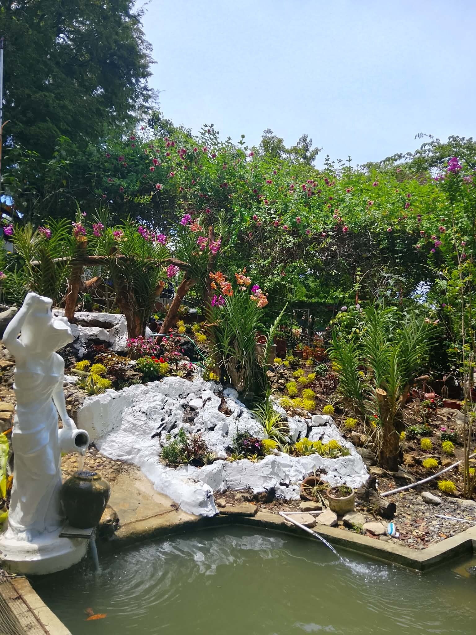 Un giardino con un elemento d'acqua, che comprende una statua, rocce e diverse piante.
