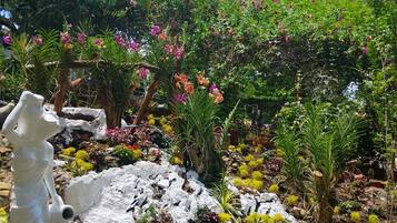 Un giardino con un elemento d'acqua, che comprende una statua, rocce e diverse piante.