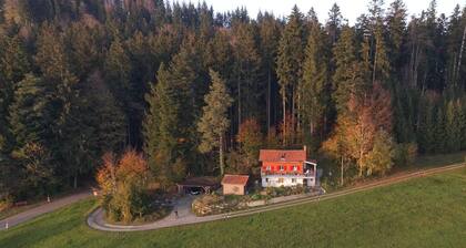 Alleinstehendes Chalet mit Bergsicht