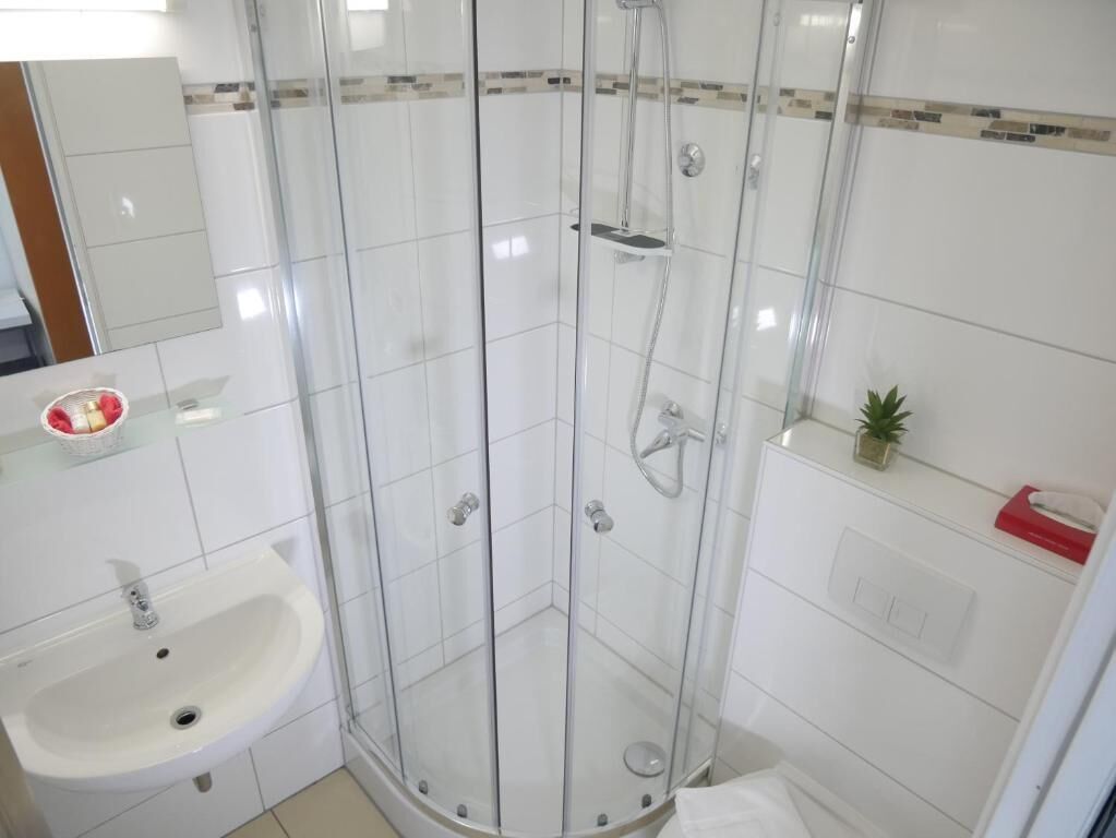 A glass-enclosed shower with a handheld showerhead, a sink, and a small potted plant on the wall.