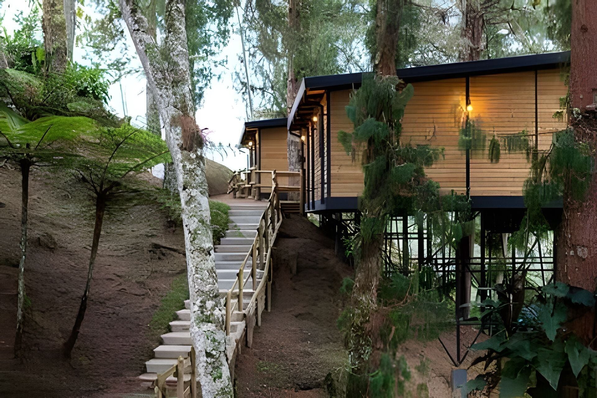 A wooden cabin with a staircase leading to a deck, surrounded by trees.