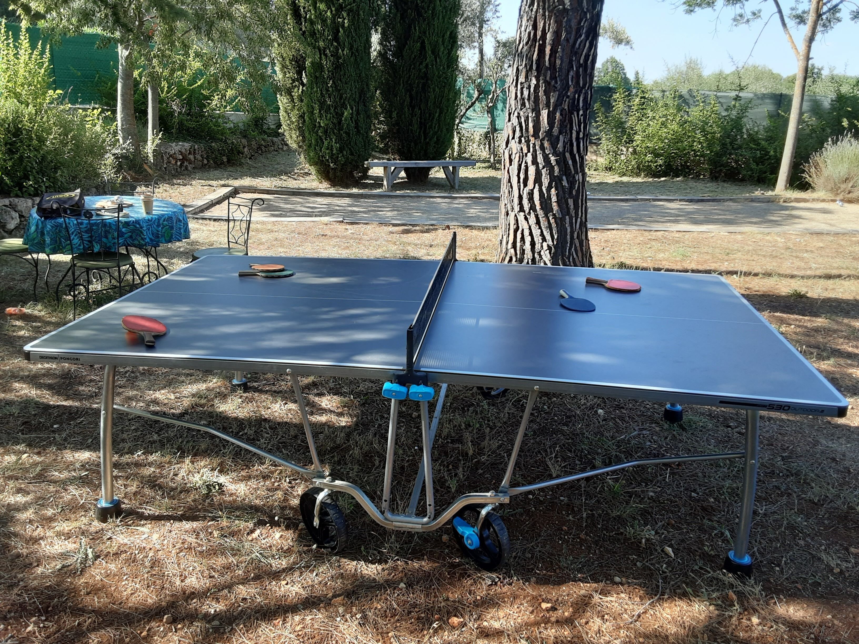 Een tafeltennistafel met een racket en bal, buiten opgesteld met een boom en een picknicktafel op de achtergrond.