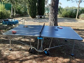 Ein Tischtennis-Tisch mit Schläger und Ball, draußen aufgestellt, mit einem Baum und einem Picknicktisch im Hintergrund.