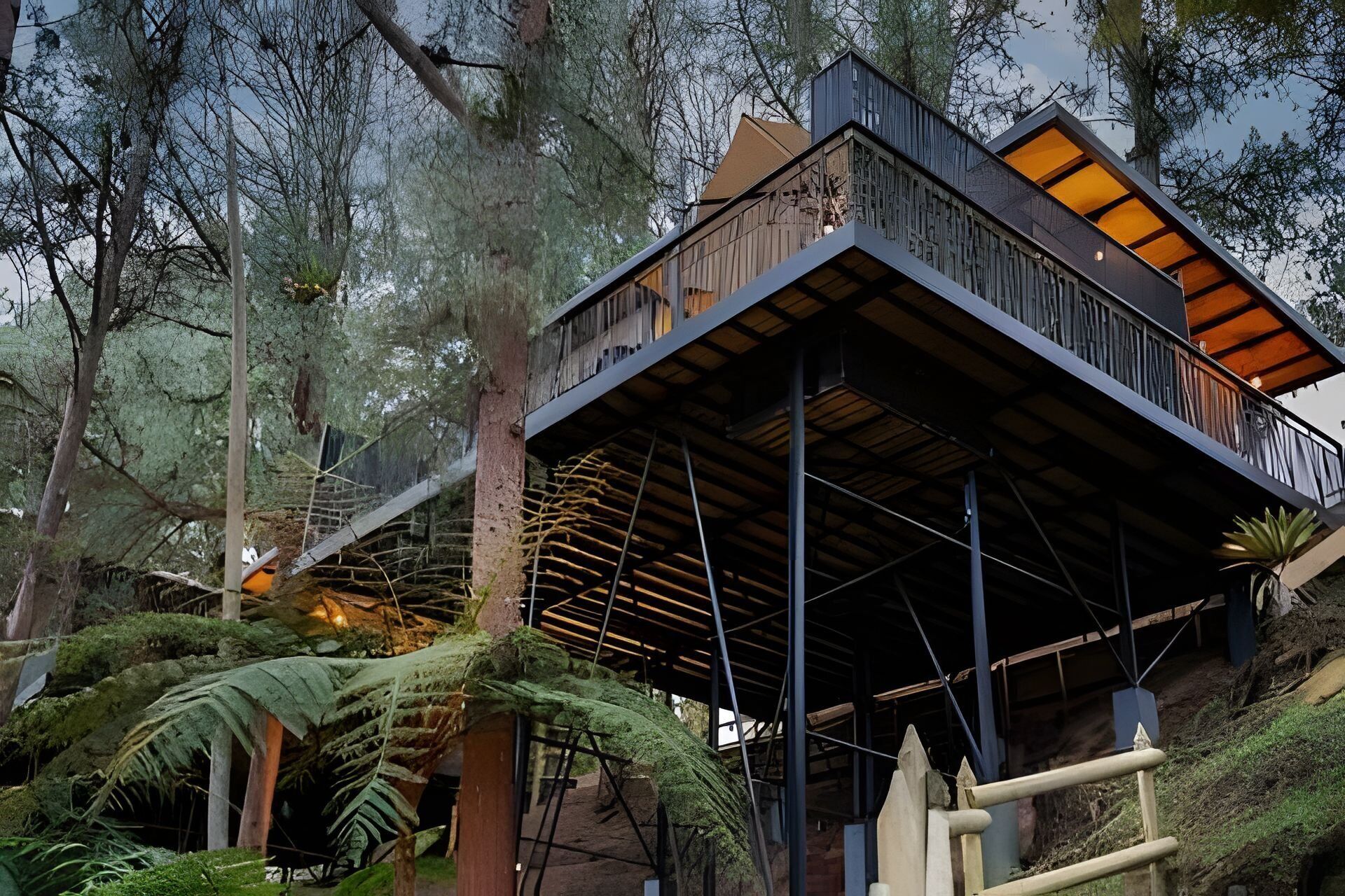 A modern building with a wooden exterior and a balcony, surrounded by trees and ferns.