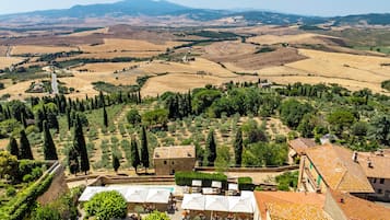 Una villa con un cortile, immersa tra uliveti e vigneti, con una montagna sullo sfondo.